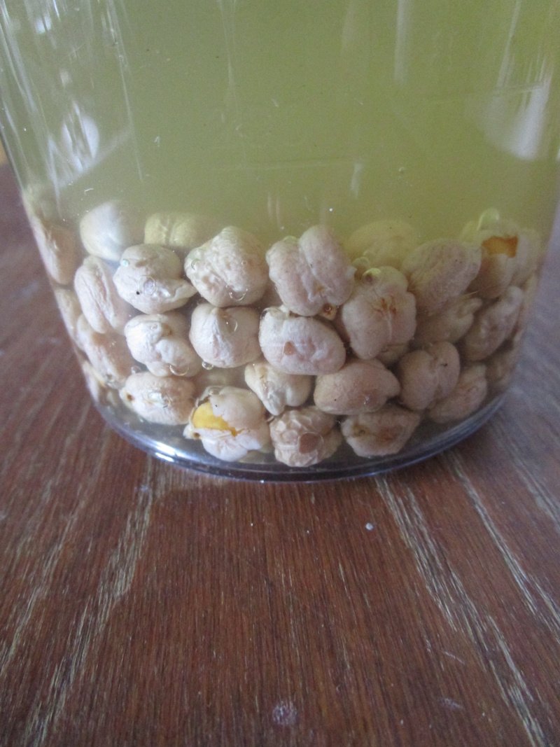 Soaking the chickpeas: Altamiras recycled vitamin and mineral-rich chard broth for soaking chickpeas, and you can also use it for cooking them. Soaking the chickpeas: Altamiras recycled vitamin and mineral-rich chard broth for soaking chickpeas, and you can also use it for cooking them.